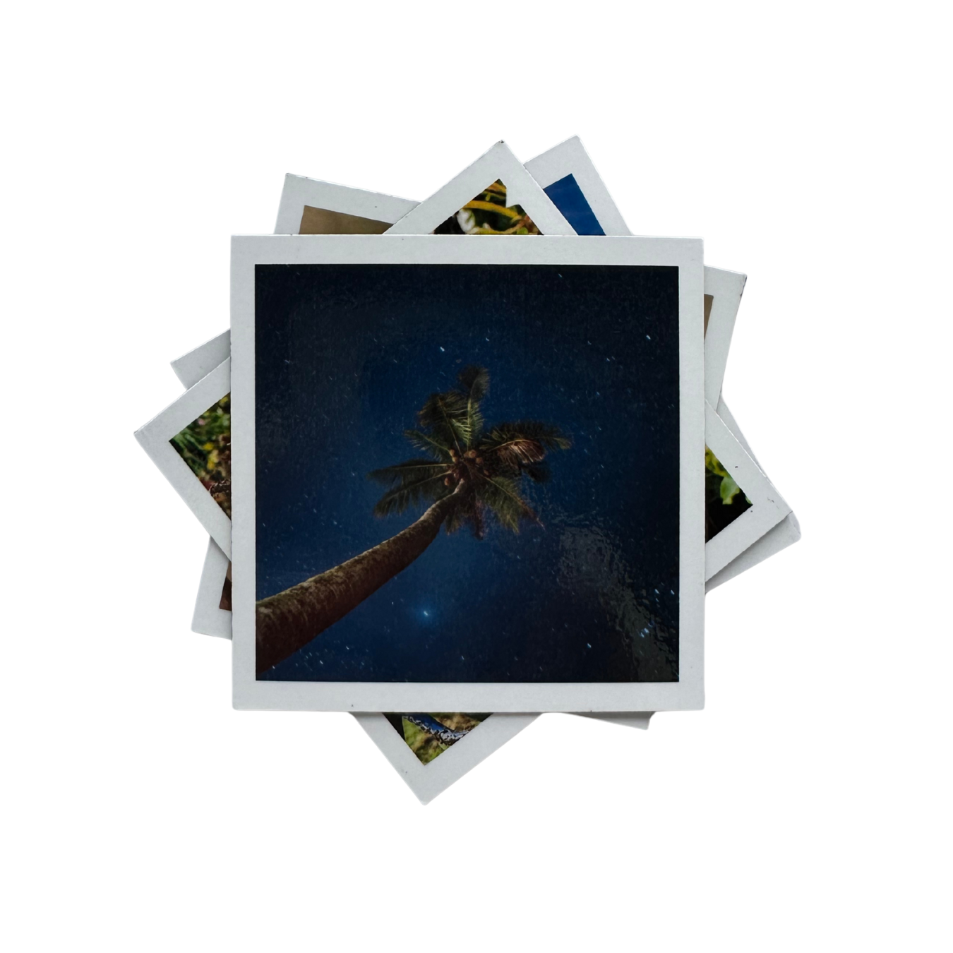 Stack of magnetic photo prints with a palm tree and night sky design.