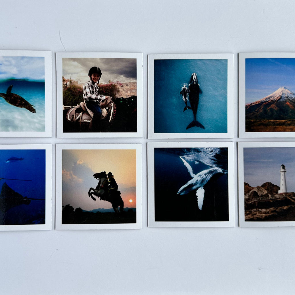 Grid of framed photographs on a wall, featuring nature and human subjects. 8 pack square photo magnets custom